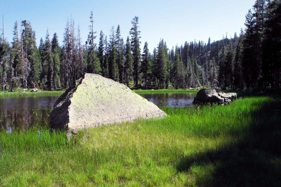 Free Image of pines field grass rock boulder forest trees lake pond water pine meadow california sierras mountain mountains 