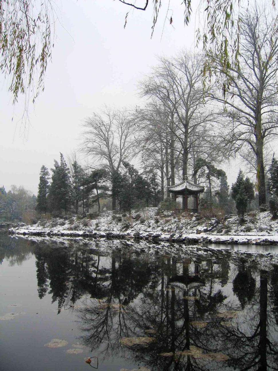 Free Image of Winter lake 