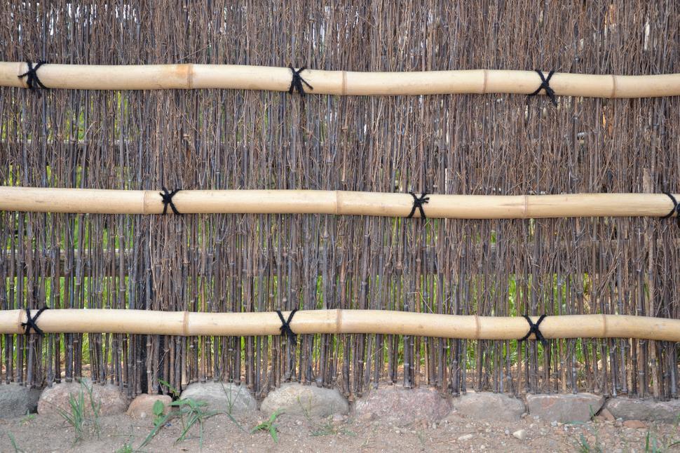 Free Image of Bamboo fence 