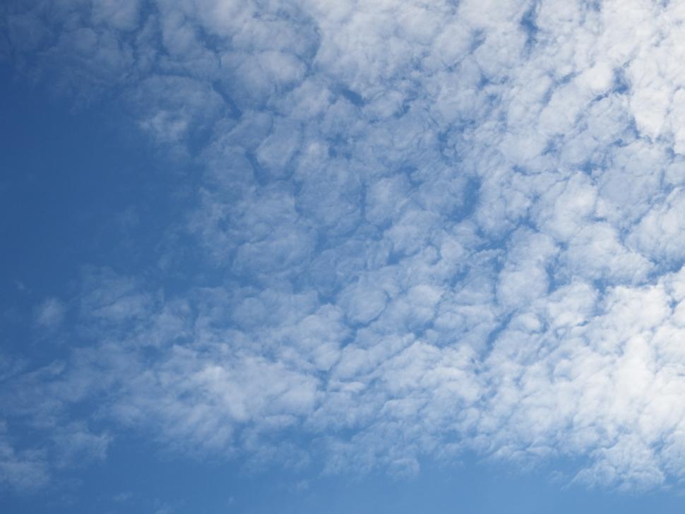 Free Image of Blue Sky and Fluffy Clouds 