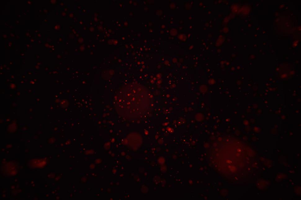 Free Image of Particles 