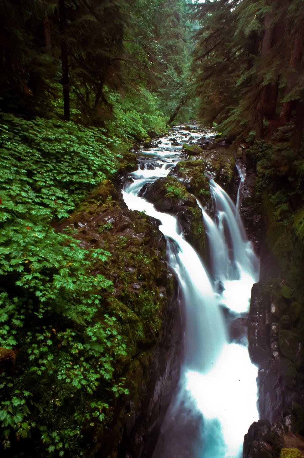 Free Image of The Sol Duc Falls 