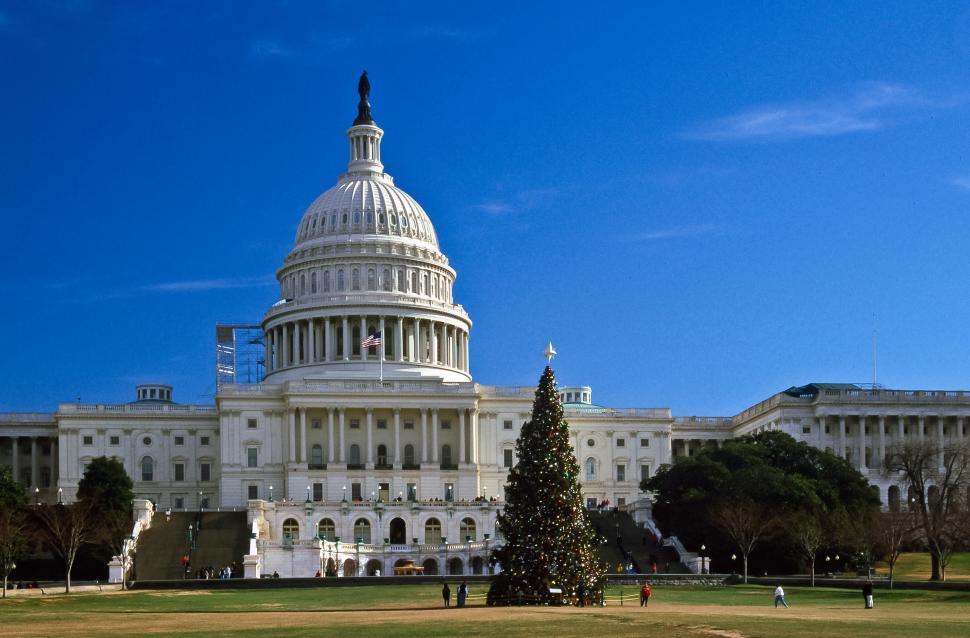 Free Image of US Capitol Christmas Tree 