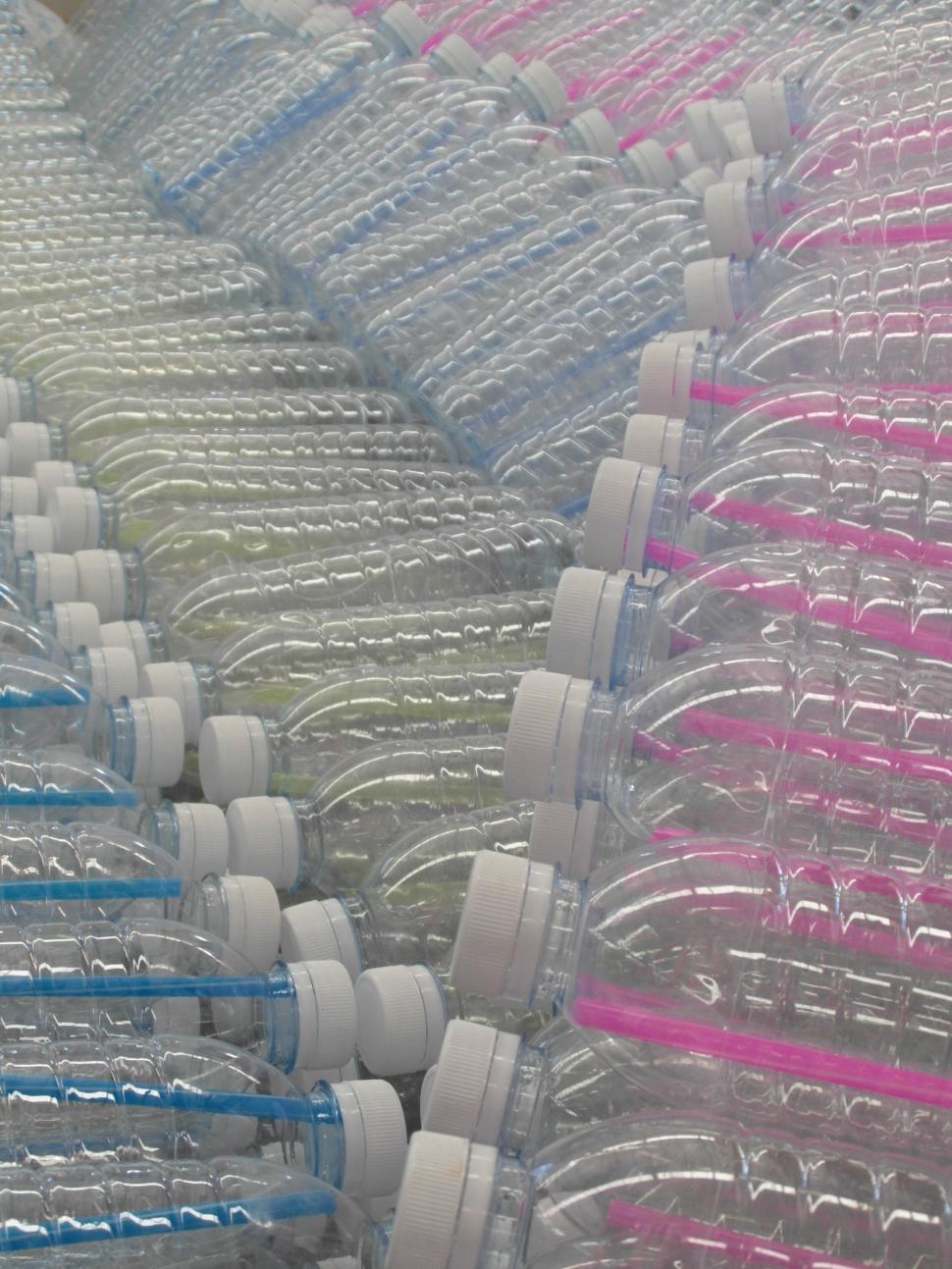 Free Image of Plastic Water Bottles 