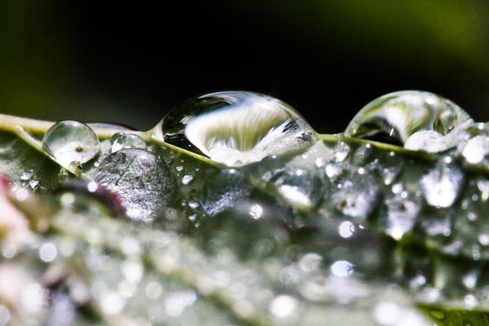 Free Image of Drops 