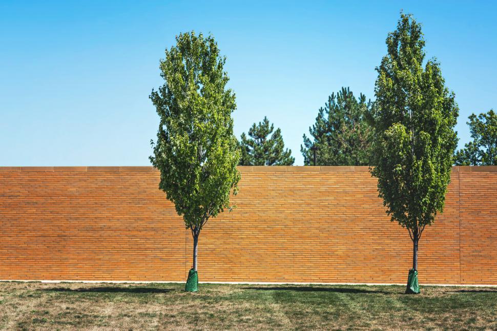 Free Image of Trees in the lawn 
