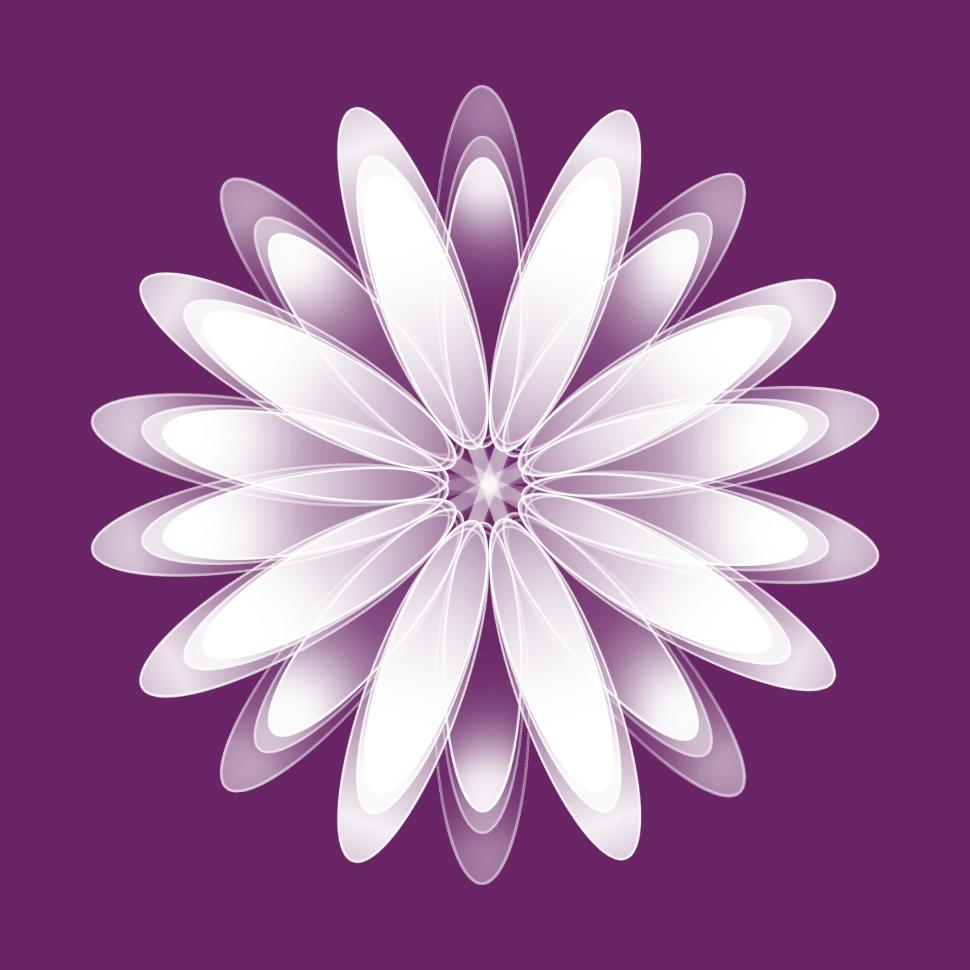 Free Image of White Abstract Flower 