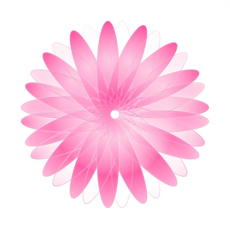 Free Image of Pink Abstract Daisy  