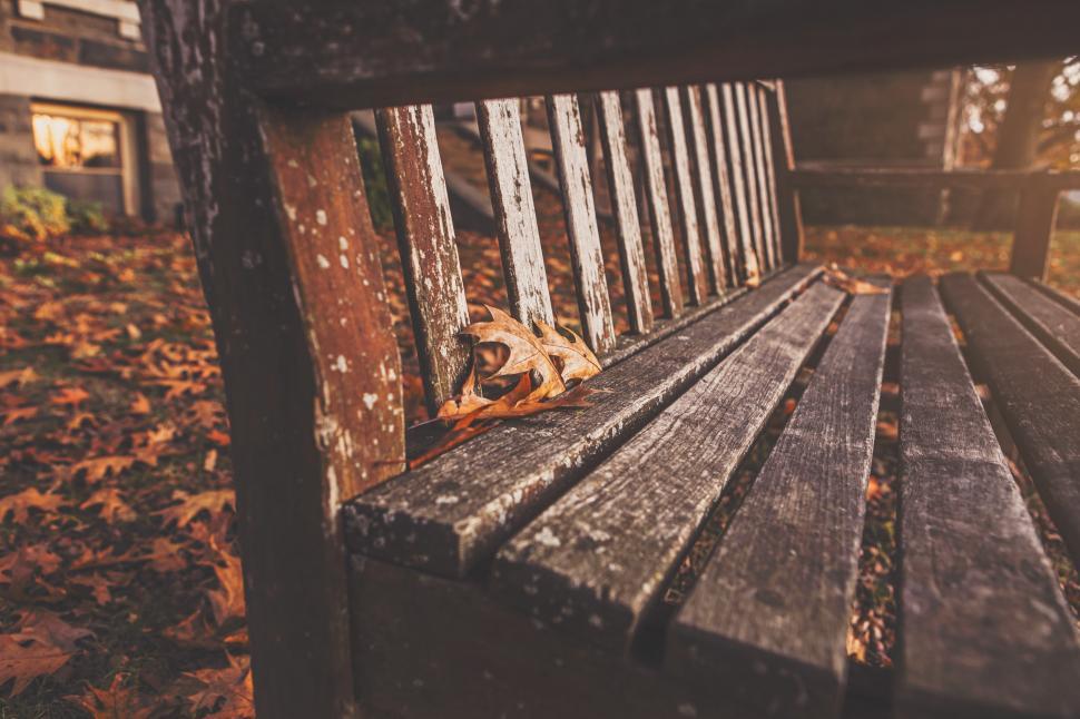 Free Image of Wooden bench in the park 