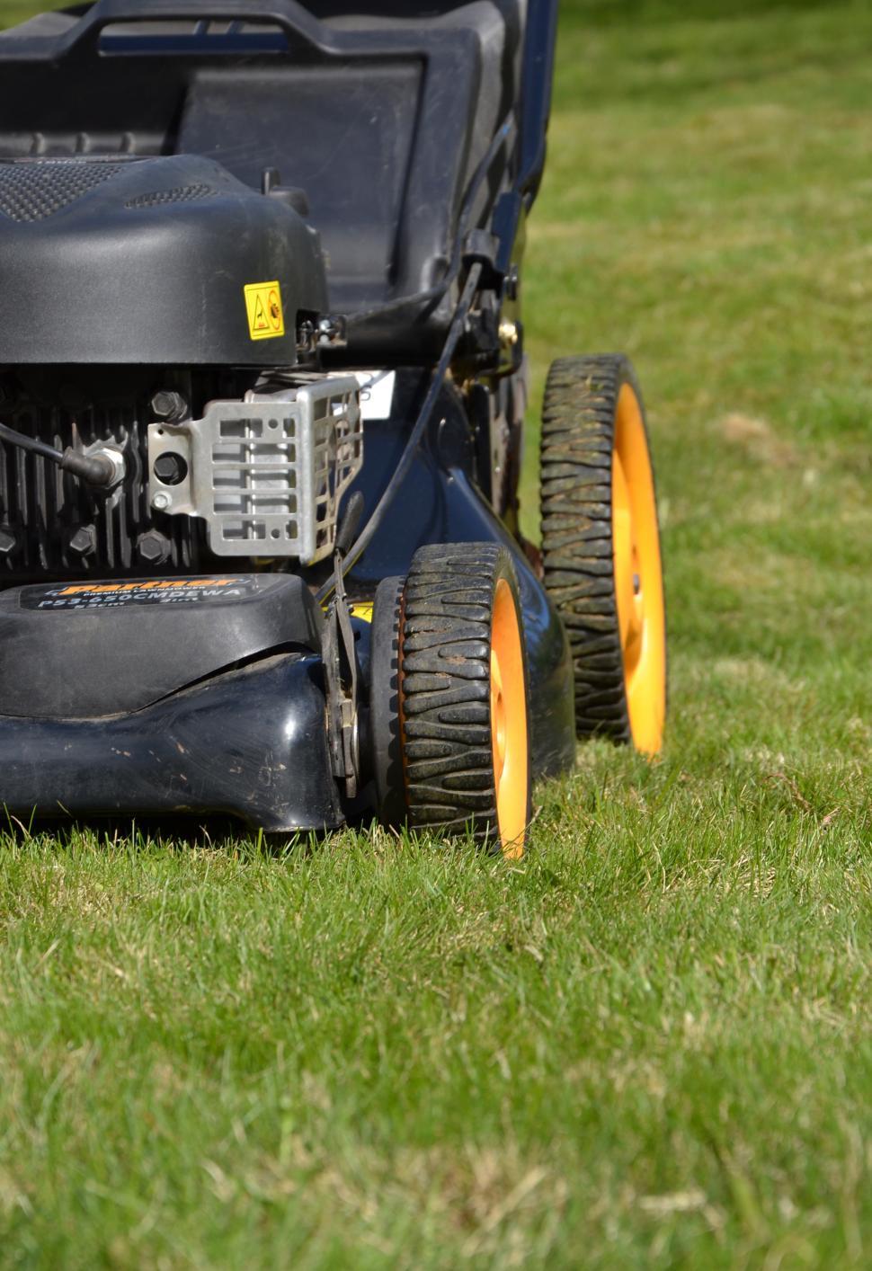 Free Image of Moving the lawn 