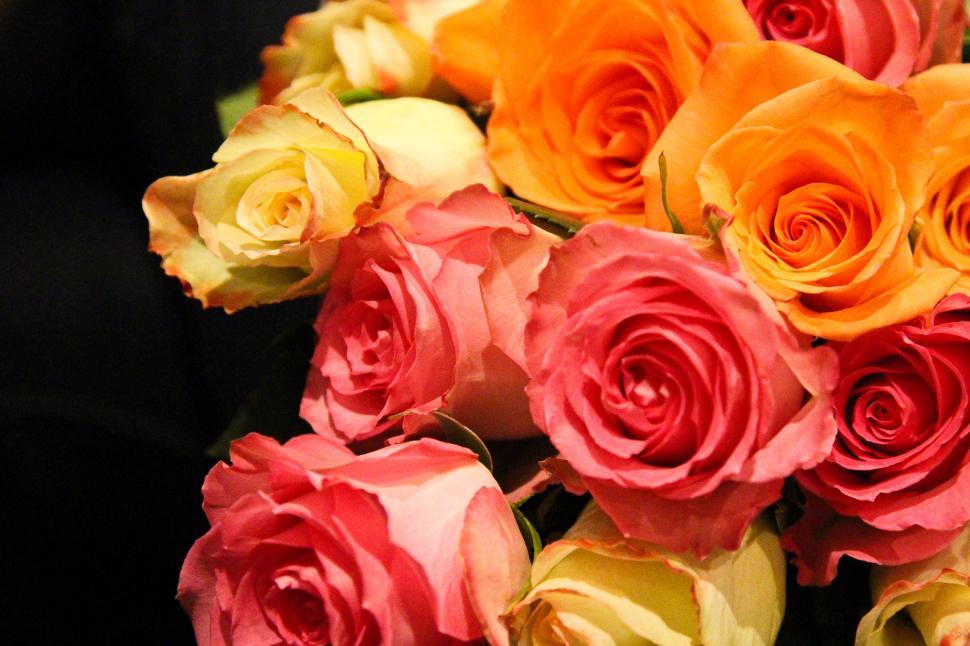 Free Image of Close-up of bouquet 
