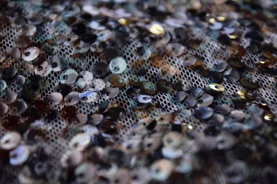 Free Image of Earthy Sequins 