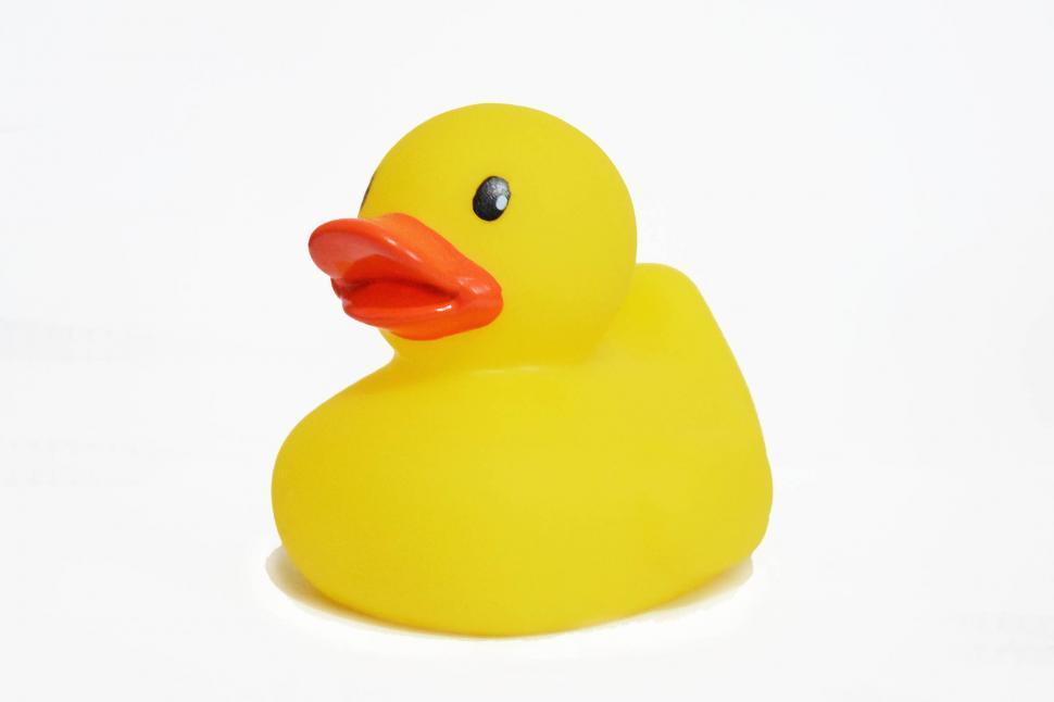 Free Image of Rubber Duck 