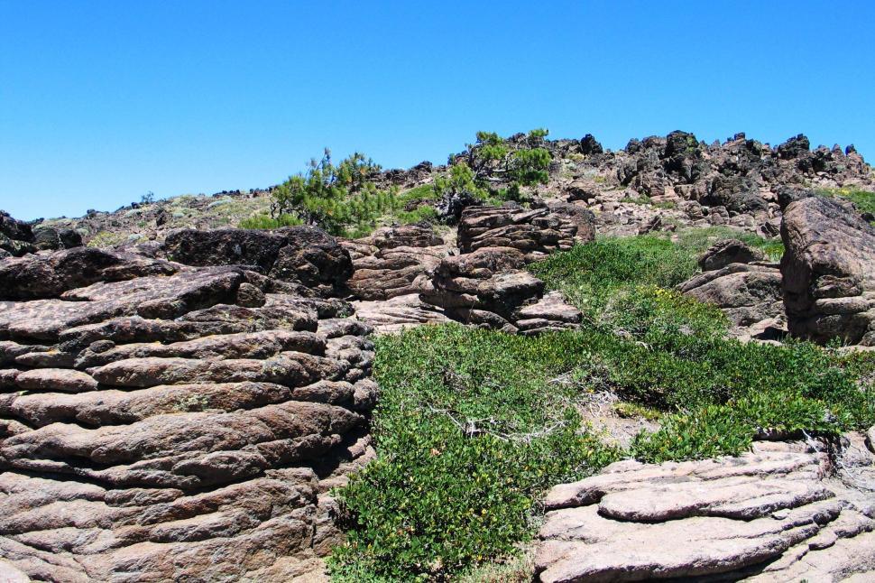 Free Image of Rocky Landscape With Green Plants and Rocks 