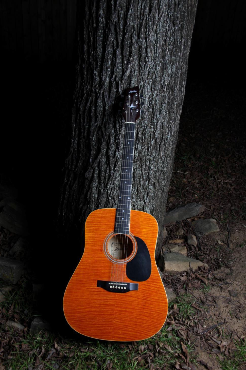 Free Image of Guitar sitting next to tree. 