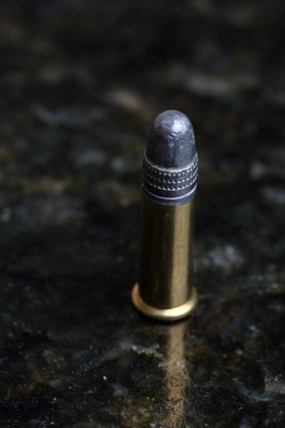 Free Image of 22 caliber bullet 