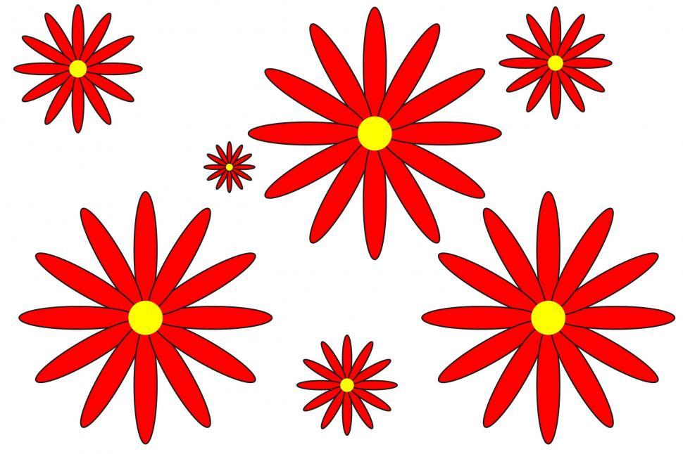 Free Image of Red Flower 