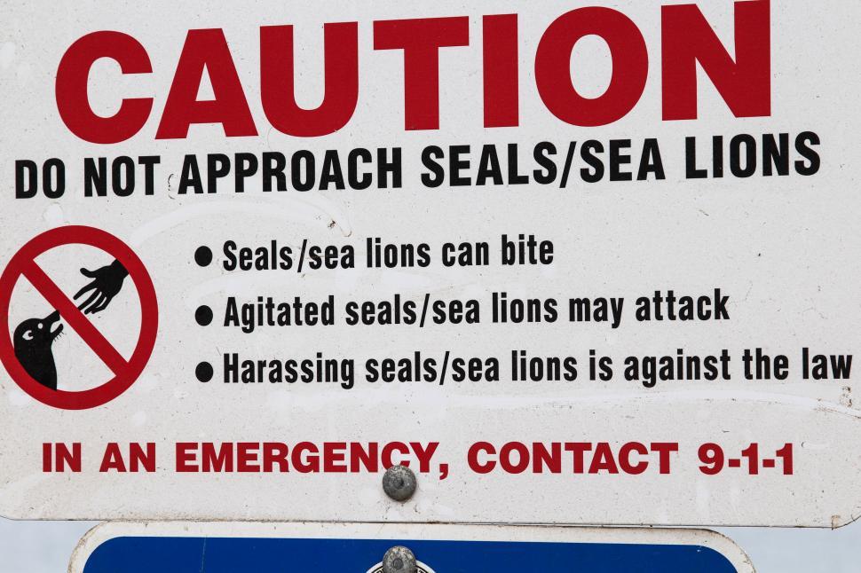 Free Image of Do Not Approach SealsSea Lions 