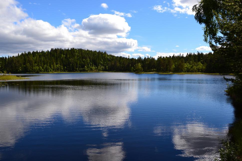 Free Image of Calm forest lake 
