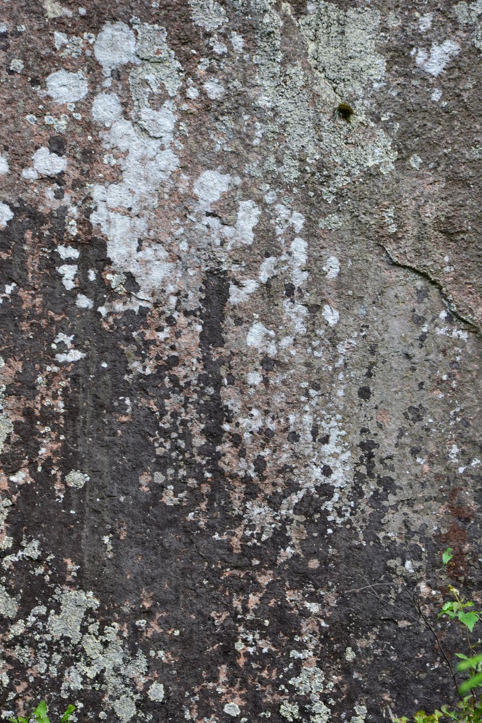 Free Image of Stone surface with lichen 