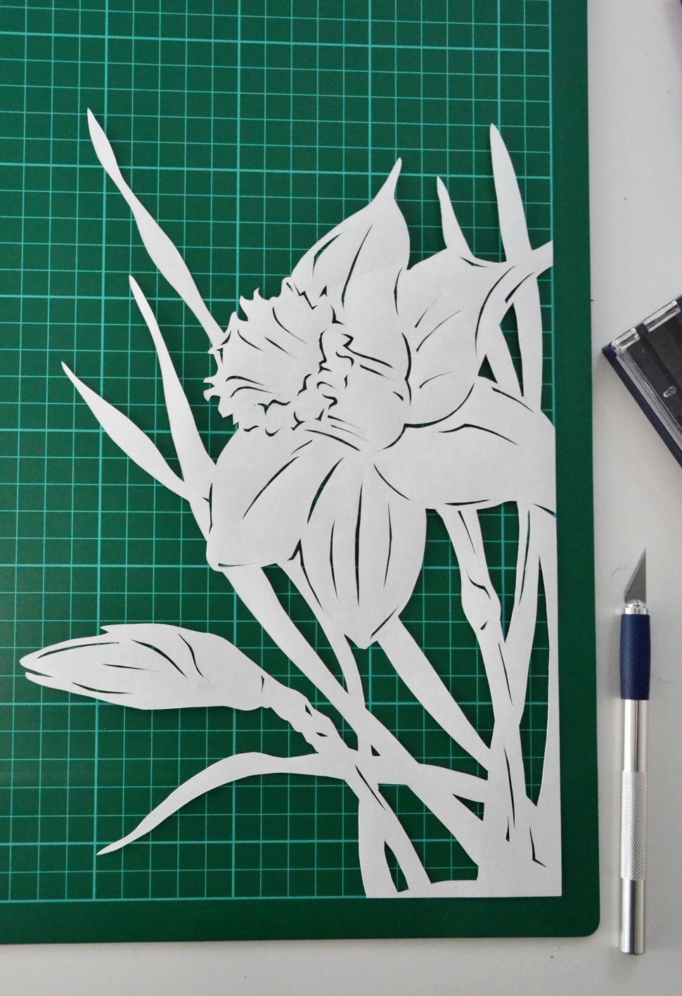 Free Image of Narcissus paper cutting 