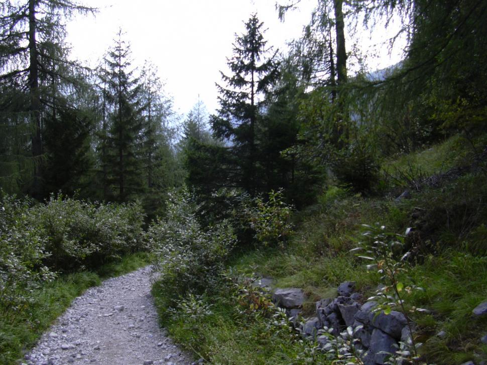 Free Image of Mountain path 