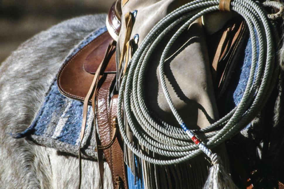 Free Image of Cowboy with rope 