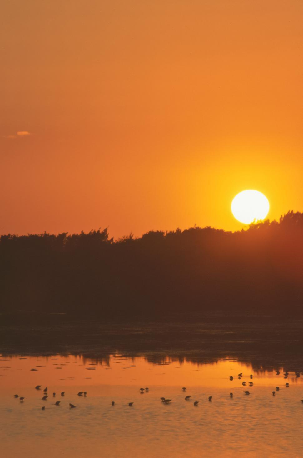 Download Free Stock Photo of Bright Orange Sunrise 