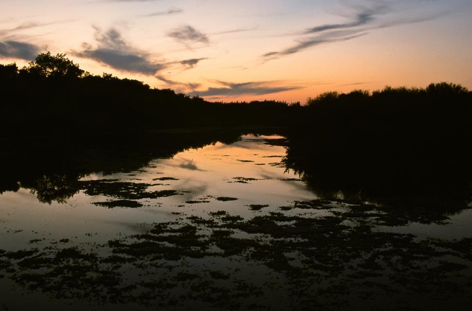 Download Free Stock Photo of River at Sunset  