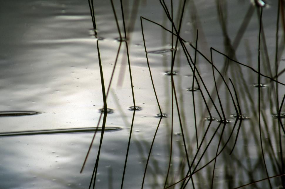 Free Image of Dark Reflections in the Water 