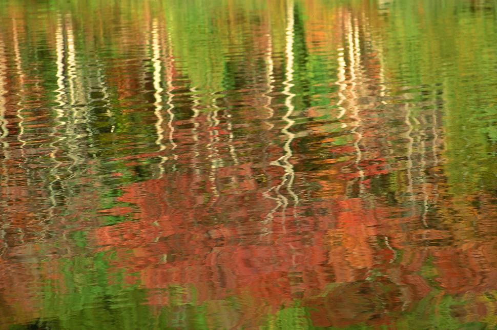 Free Image of Water Reflection 
