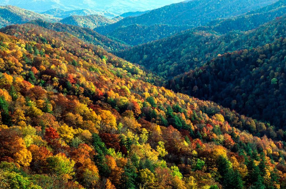 Free Image of Great Smoky Mountains, National Park 
