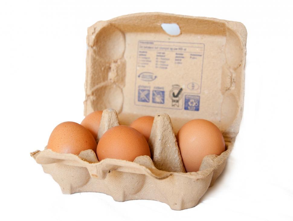 Free Image of eggs in carton 