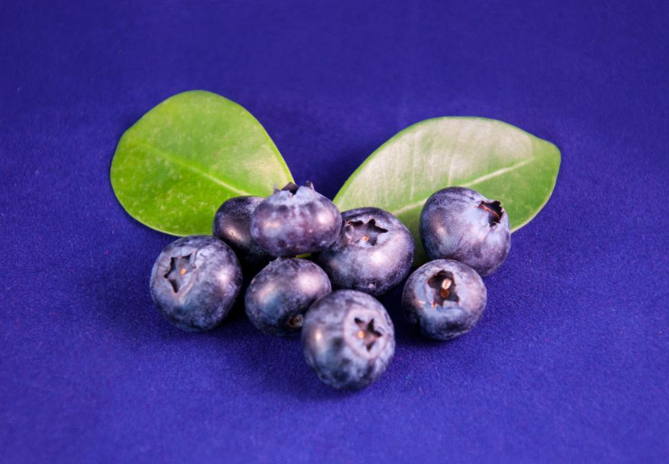 Free Image of Blueberries fruit 