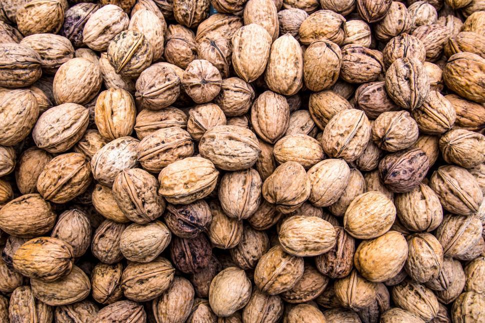 Free Image of Walnuts background texture 