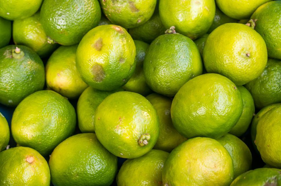 Free Image of lime citrus fruit 