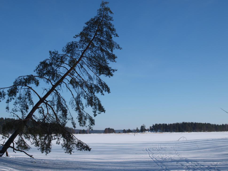 Free Image of Winter in Finland 
