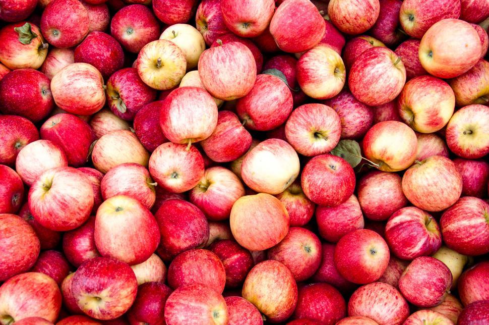 Free Image of Red apples 