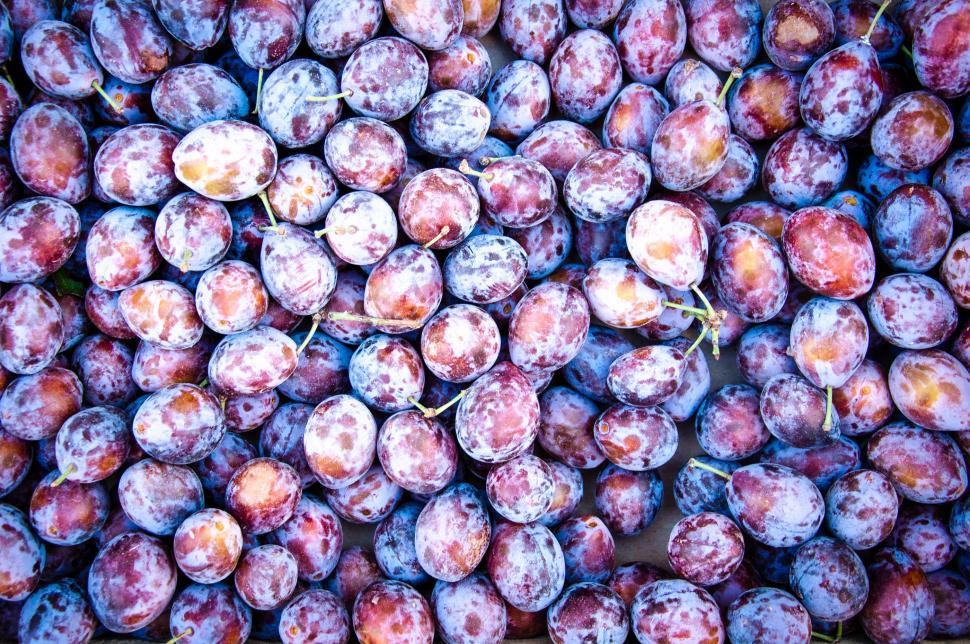 Free Image of Purple prunes 