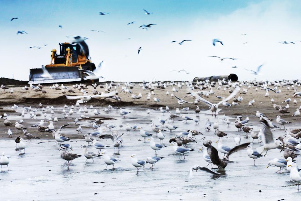 Free Image of bulldozer working on a beach 