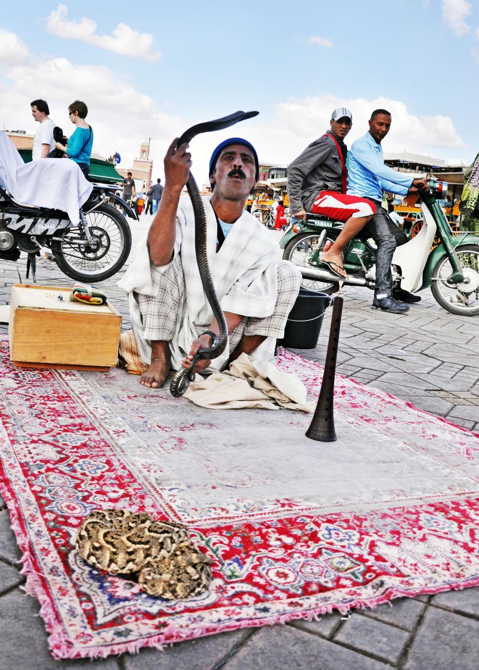 Free Image of Snake Charmer in morocco 