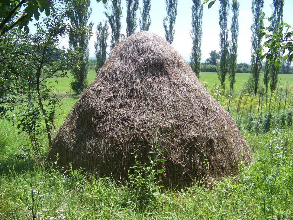 Free Image of Old hay bale 