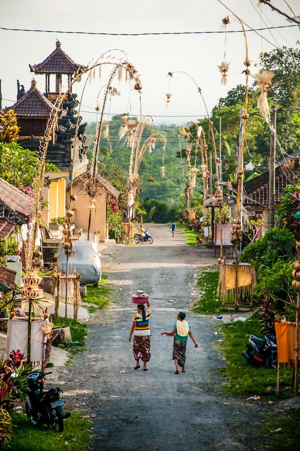 Free Image of Balinese village street 