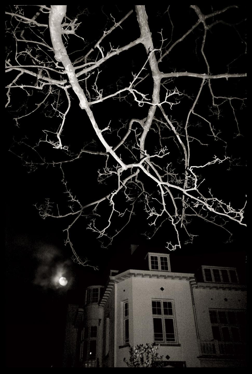 Free Image of Haunted house at night 