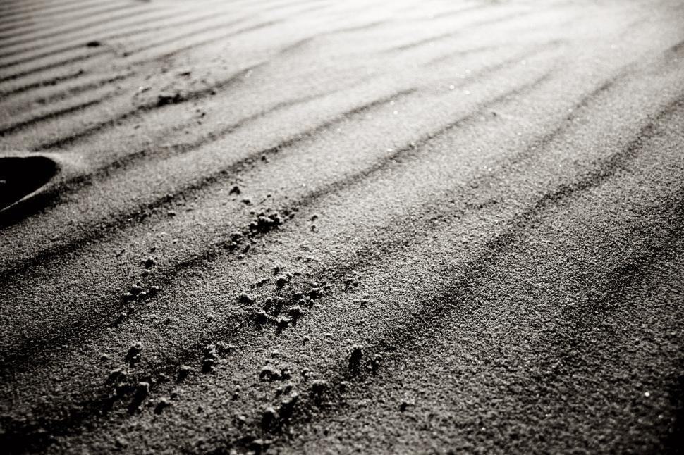 Free Image of Sand texture 