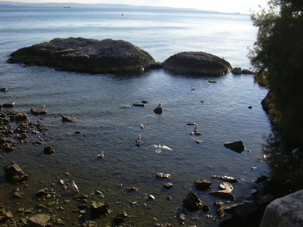 Free Image of Beach and Rocks 