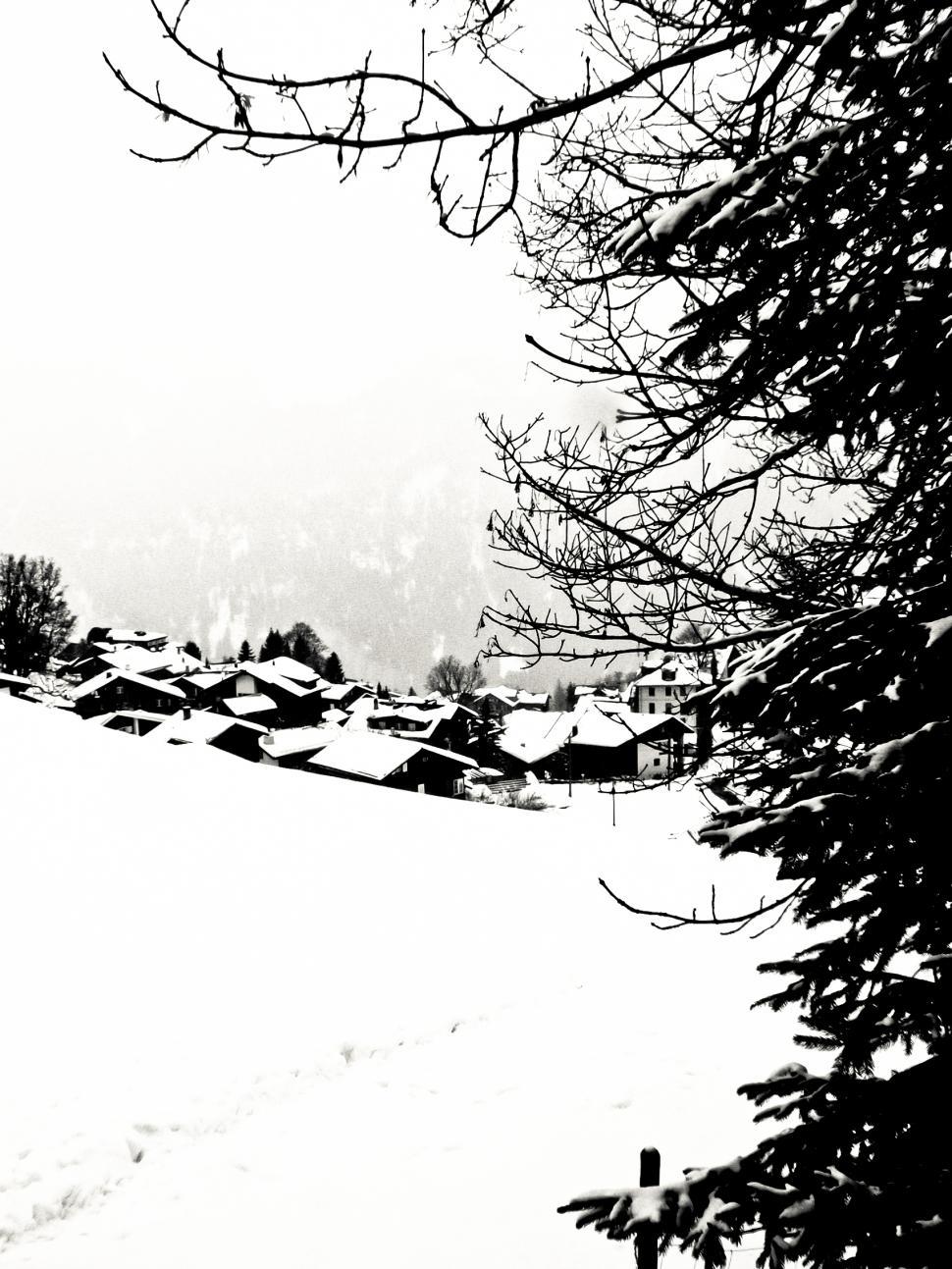 Free Image of Winter landscape 
