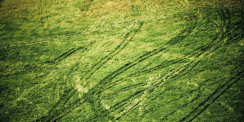 Free Image of Grass tracks 