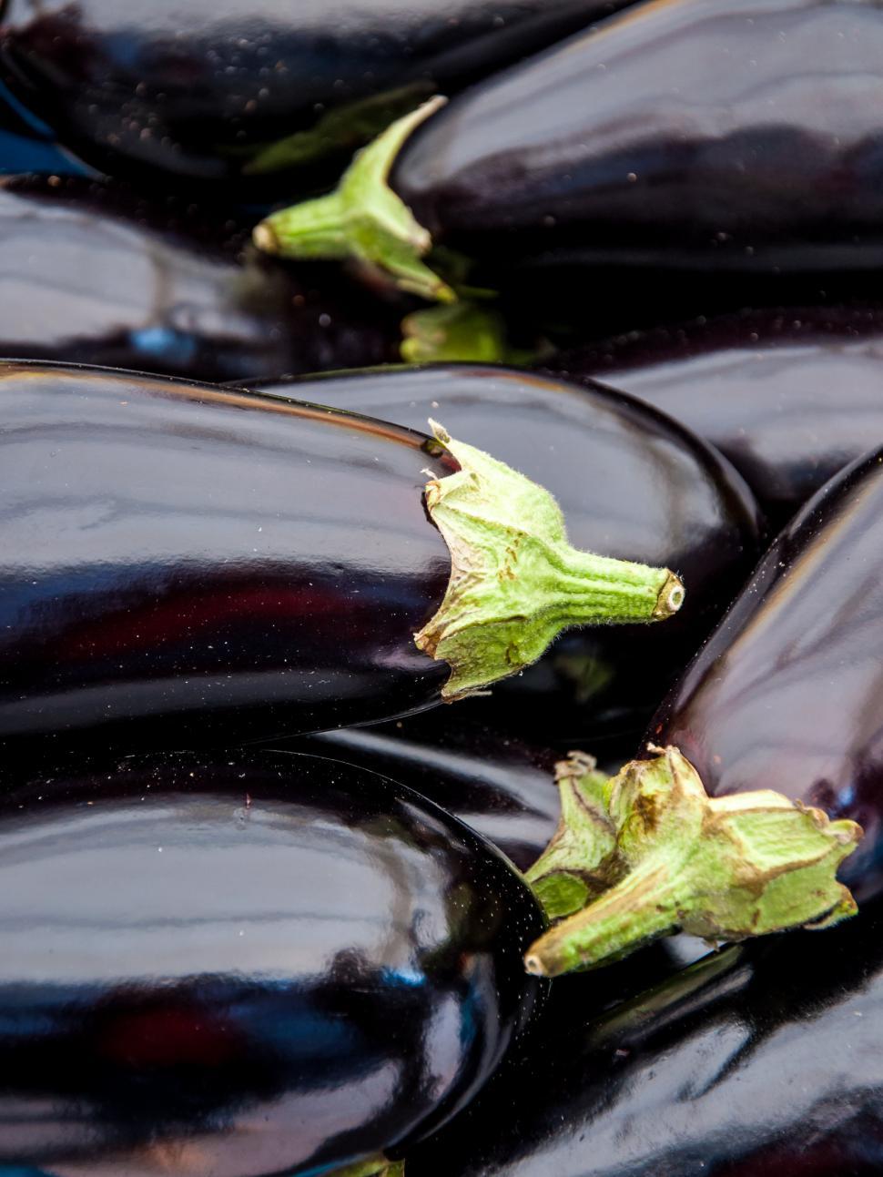 Free Image of Organic eggplants 