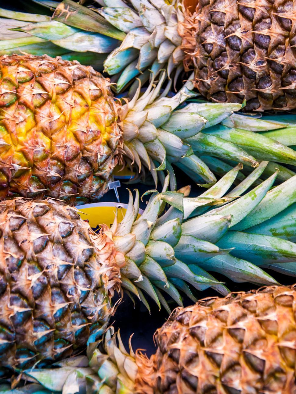 Download Free Stock Photo of A lot of pineapple fruit background 